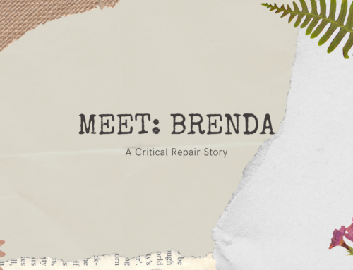 Meet: Brenda